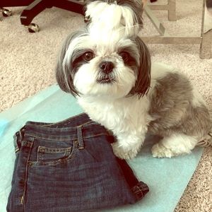 When Your Pup Wants To Posh!